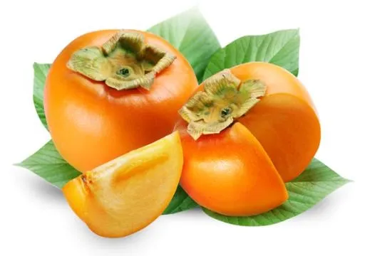 柿子 PNG免抠(600x422)