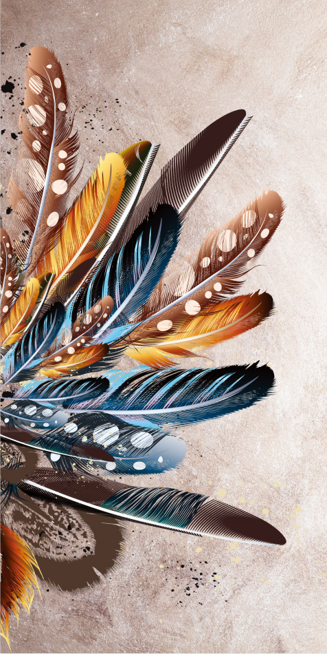 北欧羽毛装饰画