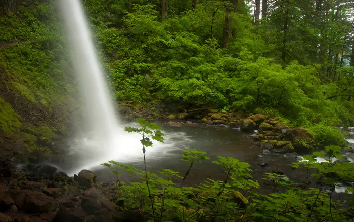 原生态瀑布流图片