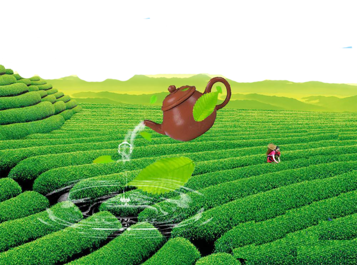 茶叶园现代农业