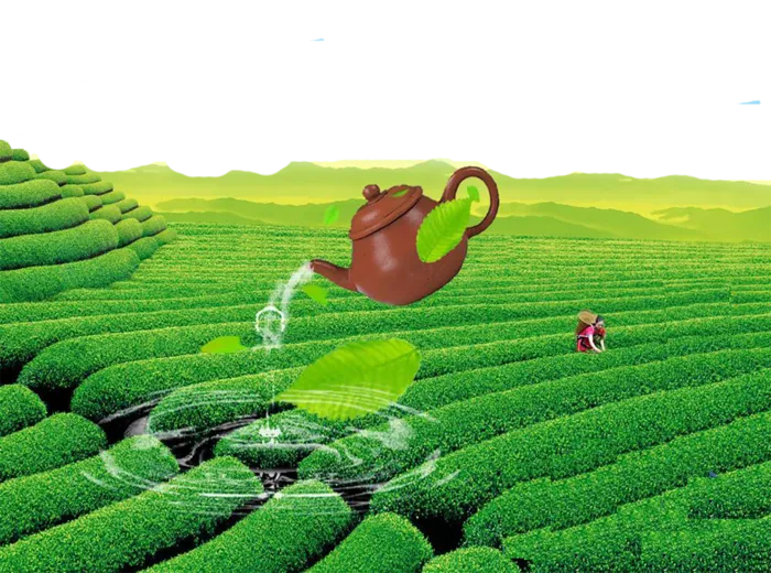 茶叶园现代农业