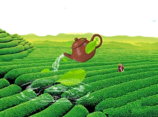 茶叶园现代农业