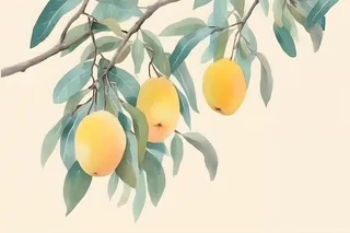 芒果水彩国风背景