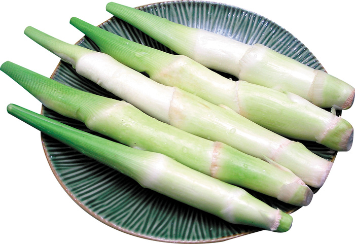 茭白