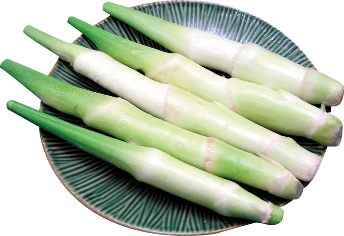 茭白
