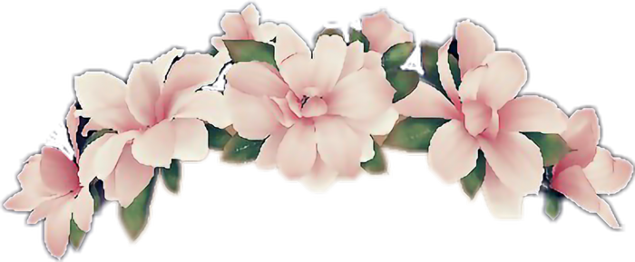 花边花朵枝丫