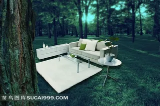 自然森林的家居厅堂房地产图片