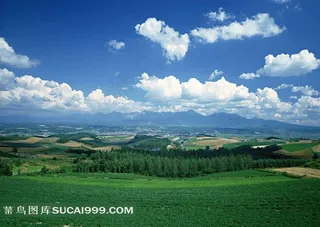 陆地旷野远景白云和树