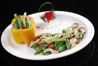 LCSC2621双脆姬菇菌32