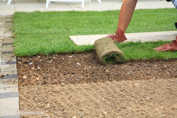 贴草坪的人物高清图片