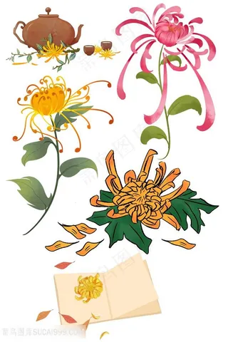 菊花 黄菊花 波斯菊 雏菊 万寿菊 山菊花 中秋节菊花 书本上菊花卡通插画图片