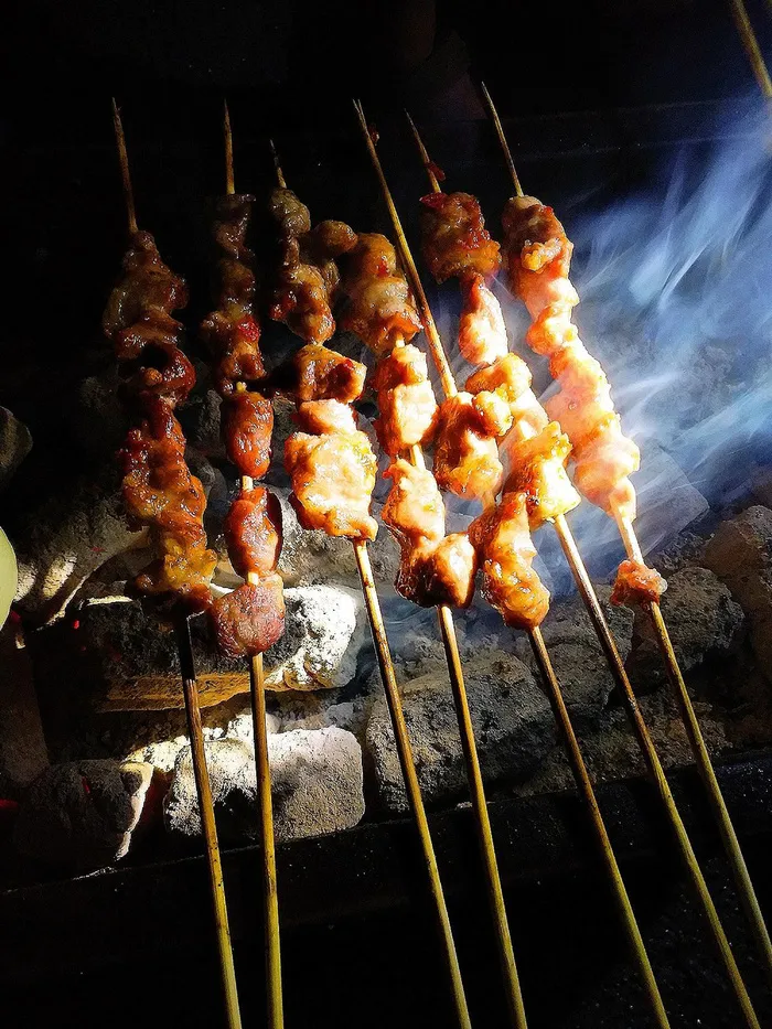 烧烤  烤串 烤肉素材 (1)