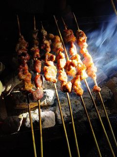烧烤  烤串 烤肉素材 (1)