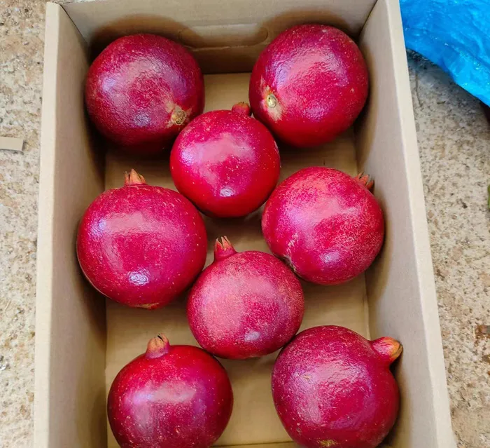 箱装石榴图 箱装石榴图