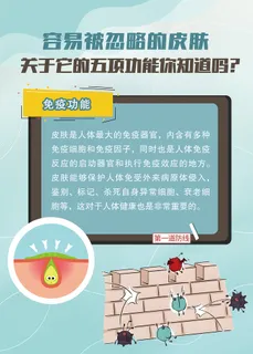 关于皮肤的功能知识海报