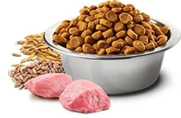 狗粮 PNG免抠(362x237)