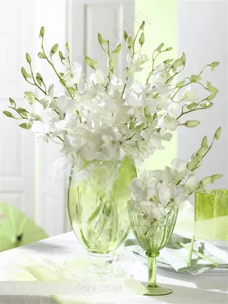 家居花瓶里的淡雅蝴蝶兰花朵