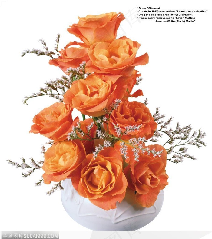 玫瑰花束-花瓶中的红色玫瑰