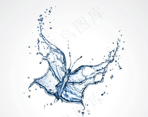 液态水蝴蝶图片