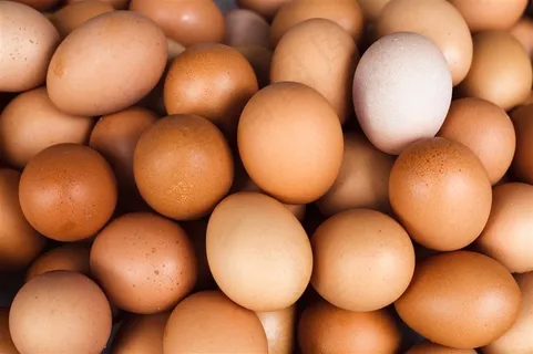 成堆的鸡蛋高清摄影图片 成堆的鸡蛋高清摄影图片