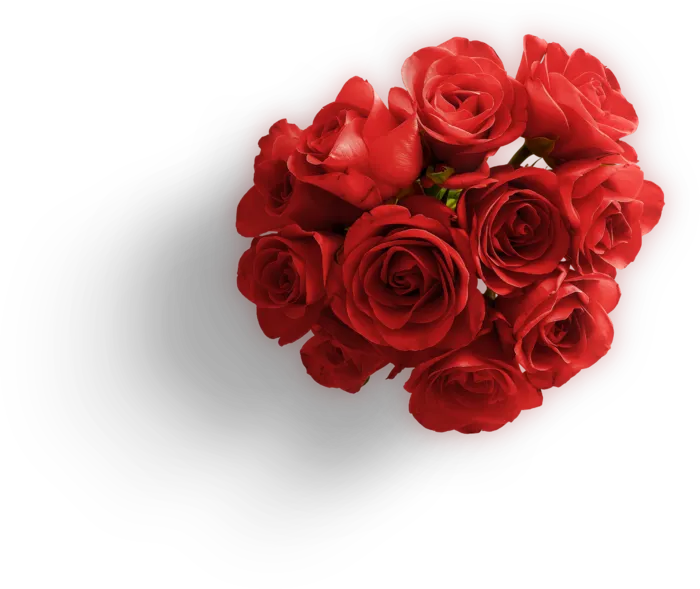 鲜花玫瑰免扣素材