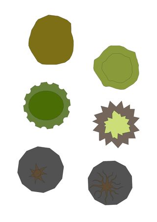 手绘植物彩色平面图2