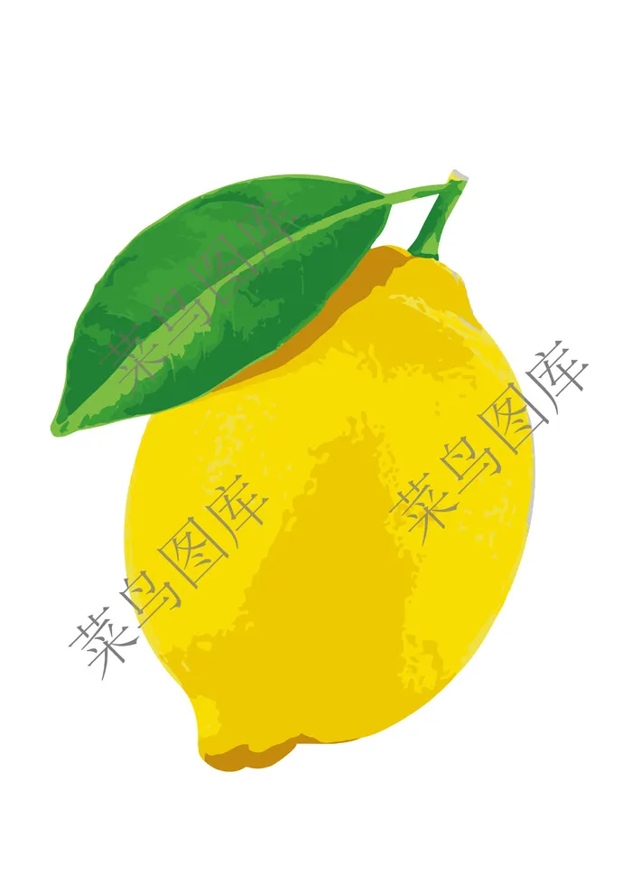 柠檬素描图ai矢量模版下载