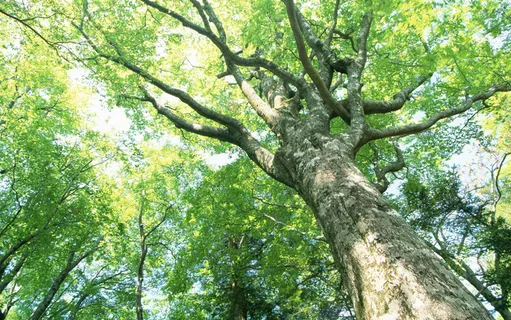 电脑壁纸、风景壁纸、特色风景、高清壁纸、桌面壁纸_133 电脑壁纸、风景壁纸、特色风景、高清壁纸、桌面壁纸_133
