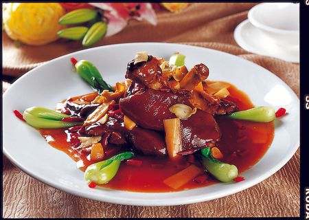 1009CS-0009鲍贝全肘