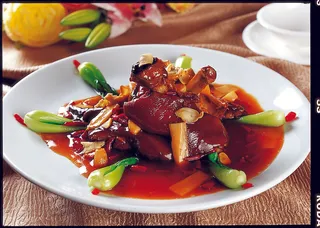 1009CS-0009鲍贝全肘