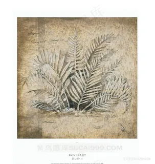 复古树叶高清插画