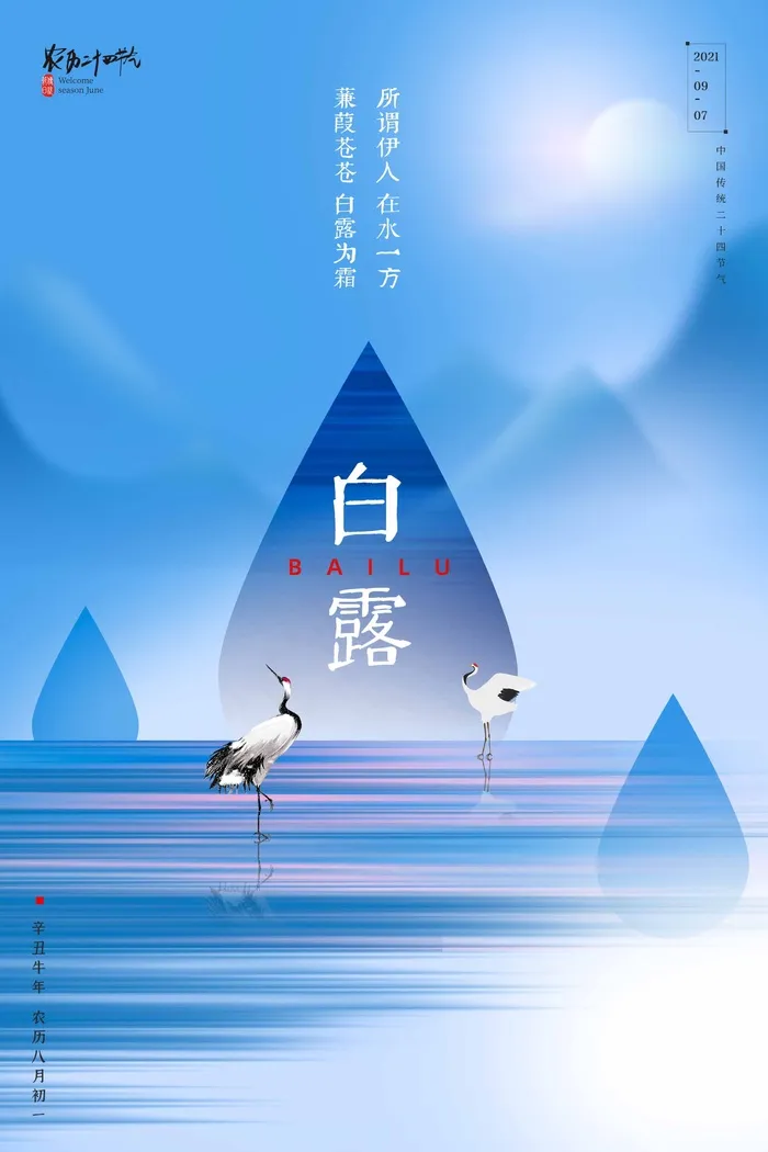 大气白露宣传海报素材psd模版下载