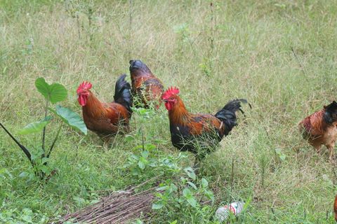 风景|摄影|高清|原创|山水