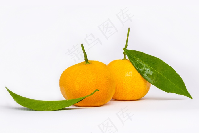 新鲜黄色橘子图片