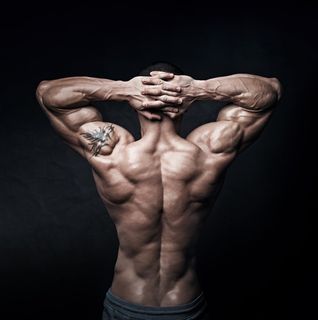 全身肌肉的男性背部高清摄影图男人图片