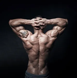 全身肌肉的男性背部高清摄影图男人图片 全身肌肉的男性背部高清摄影图男人图片