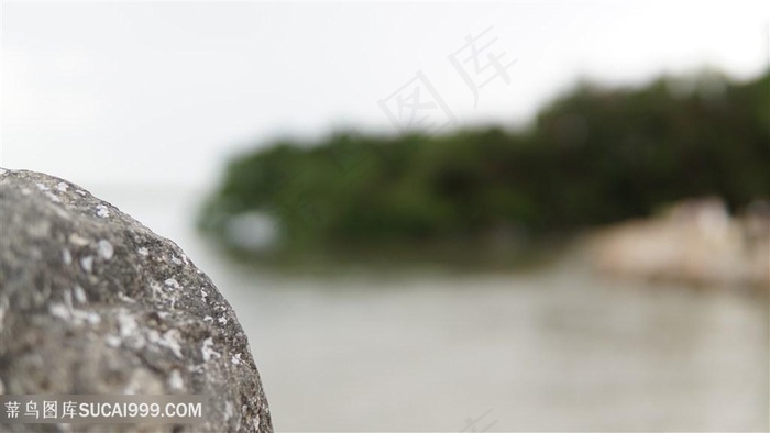 海边石头特写