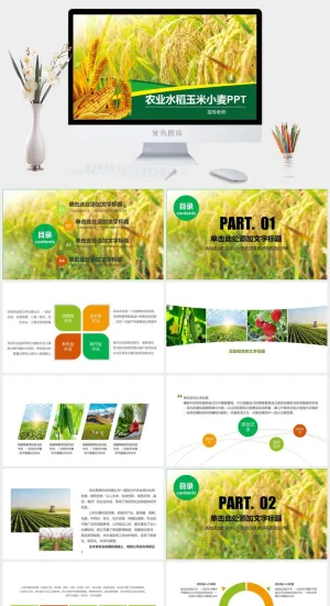 农业水稻玉米小麦农产品推广PPT模板预览图