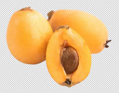 枇杷果免扣素材 枇杷果免扣素材