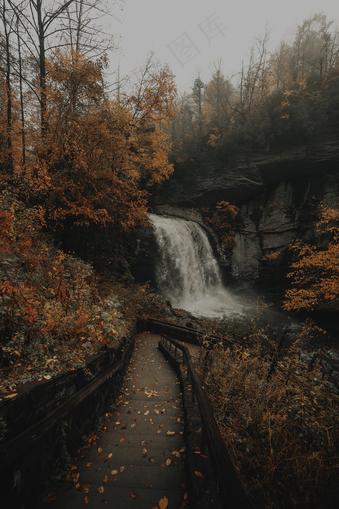 山水落叶秋天风景图片