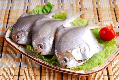 美食鲜鲳鱼 美食鲜鲳鱼