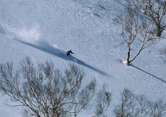 冬日雪山滑雪图片