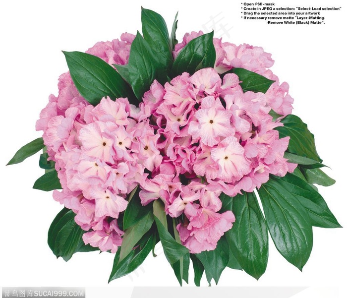 花艺花束-一束浅紫色的花