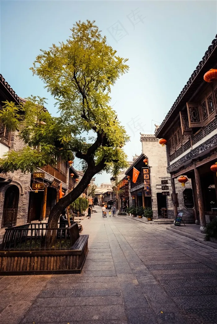 台儿庄古城街边的树
