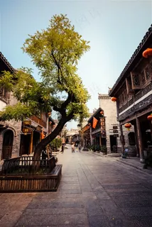 台儿庄古城街边的树