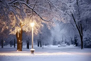 下雪天树下的路灯摄影图