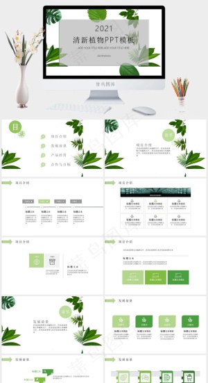 清新简约大气风绿叶绿色植物汇报总结PPT通用模板预览图
