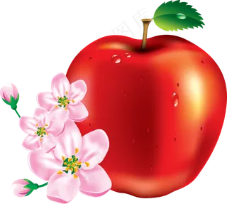 水果坚果鲜水果苹果免抠大苹果