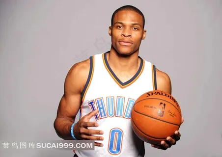 韦斯特布鲁克特写