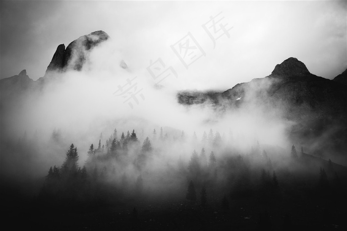 山林中的雾图